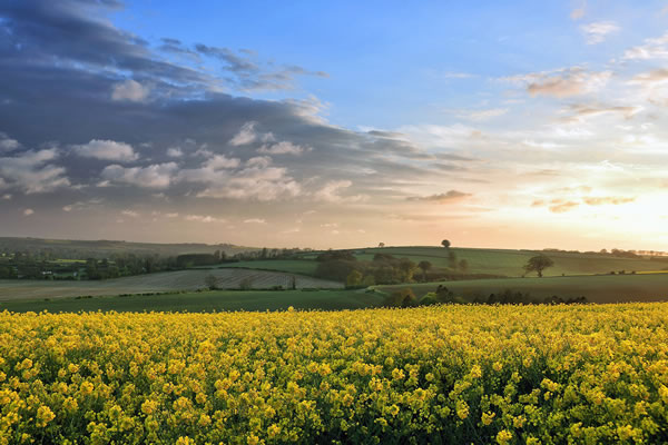 6000-OUR-SHEPHERD-HUT-STORY-LINCOLNSHIRE Beautiful Lincolnshire - The Place to buy your shepherd hut